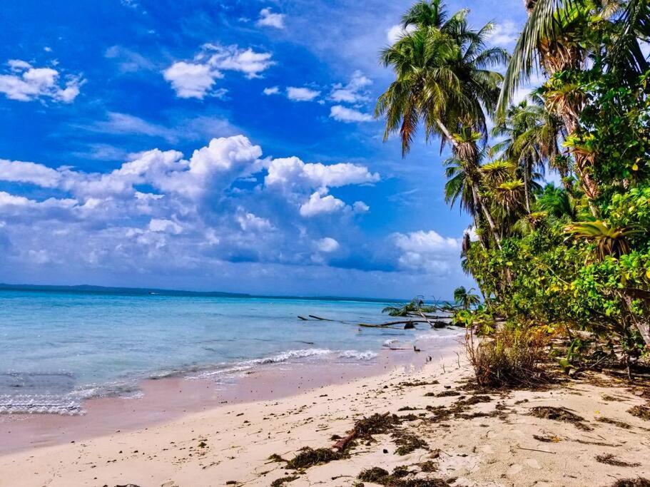 Villa Poetry Garden Bocas Town Colon Island Extérieur photo