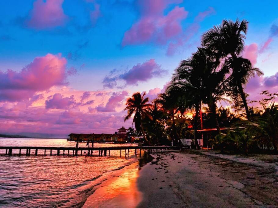 Villa Poetry Garden Bocas Town Colon Island Extérieur photo