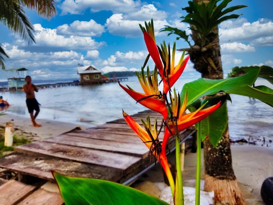 Villa Poetry Garden Bocas Town Colon Island Extérieur photo