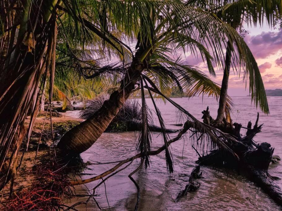 Villa Poetry Garden Bocas Town Colon Island Extérieur photo